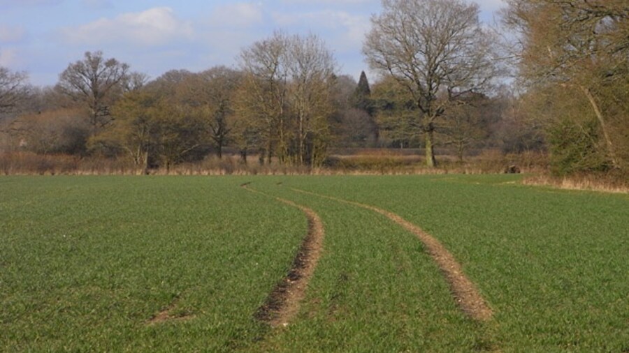 Photo "Farmland, Heckfield A public footpath follows the edge of the small copse to the right of picture." by Andrew Smith (Creative Commons Attribution-Share Alike 2.0) / Cropped from original
