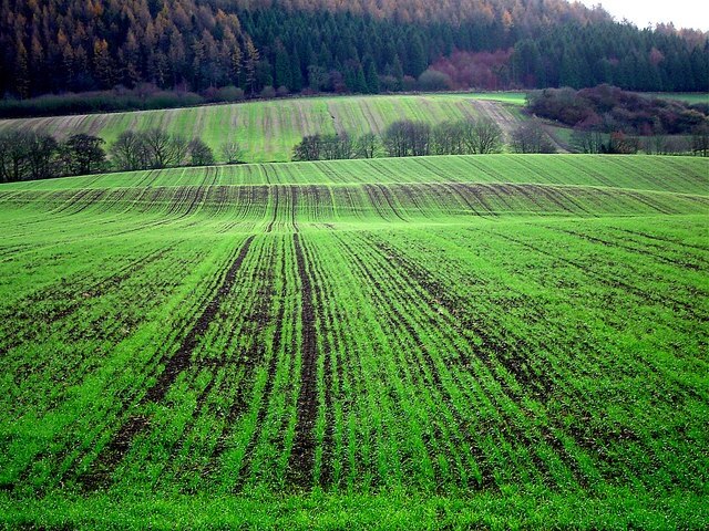 "Hood Grange"-foto av Scott Rimmer (CC BY-SA) / Urklipp från original