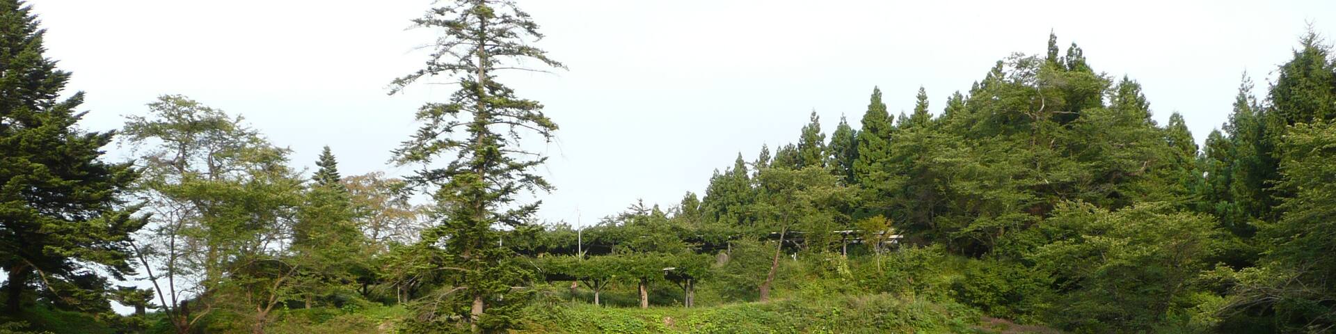 Nisshin, Aichi (prefeitura), Japão