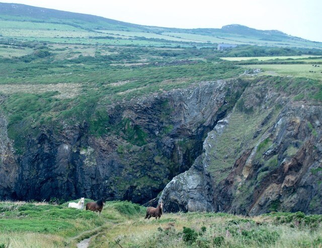 Ceffylau ger Pwllcrochan / Horses near Pwllcrochan