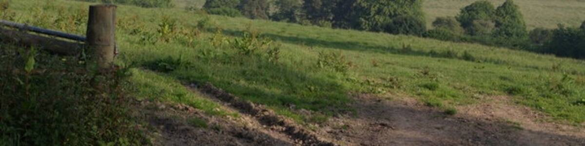 Photo "Thrushel valley near Hayne A view from the lane between Stowford and Hayne. The Thrushel's course follows the second line of trees, and left of centre of the photo it is running close to the northern edge of the square. The farm in the distance, beyond North Plantation, is East Rowden in SX4187." by Derek Harper (Creative Commons Attribution-Share Alike 2.0) / Cropped from original