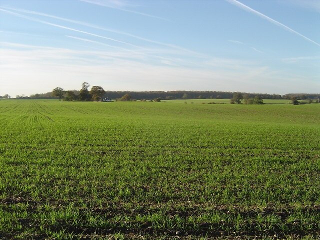 Photo "Furneux Pelham" by Nigel Cox (CC BY-SA) / Cropped from original