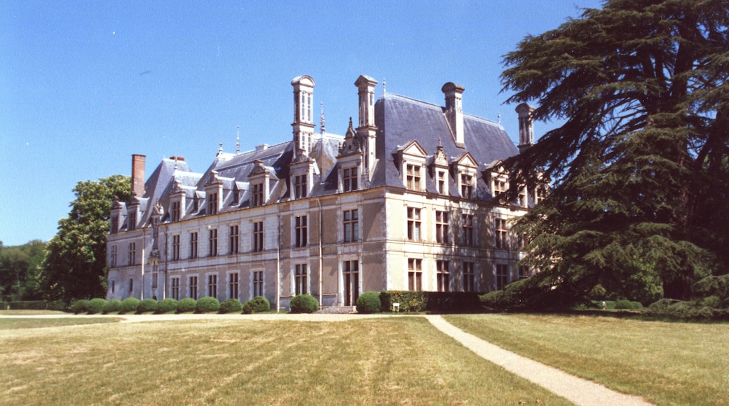 Chateau de Beauregard