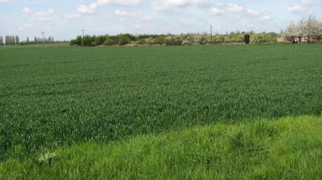 Ảnh "Làng Emneth" của Evelyn Simak (CC BY-SA) / Cắt từ ảnh gốc