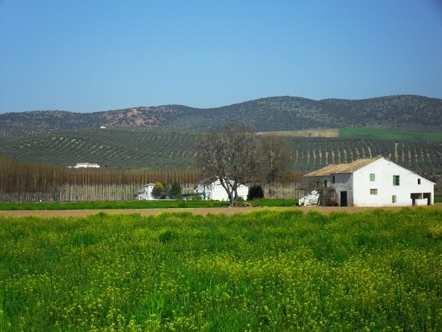 Vista de la Vega de Calardos (Huétor-Tájar)