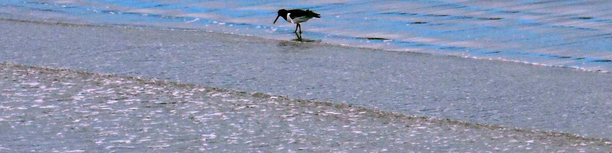 Photo "Port Logan" by Tanya Dedyukhina (Creative Commons Attribution 3.0) / Cropped from original