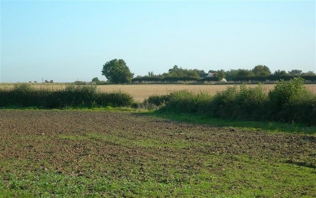 "Pinvin"-foto av Mary and Angus Hogg (CC BY-SA) / Urklipp från original