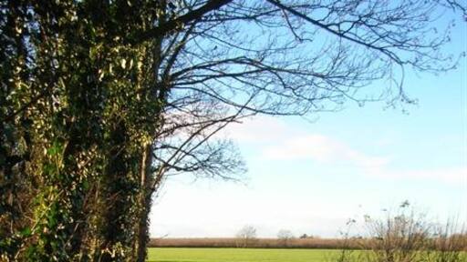 Foto “Acaster Selby” tomada por DS Pugh (CC BY-SA); recorte de la original