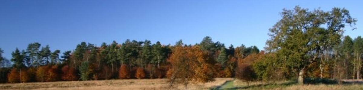 Photo "Frozen puddle on track in King's Forest This track leads to the B1106, just south of the picnic area for the King's Forest." by Bob Jones (Creative Commons Attribution-Share Alike 2.0) / Cropped from original