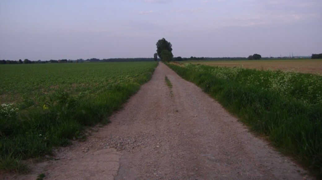 Billede "Tilney All Saints" af Mark Hobbs (CC BY-SA) / beskåret fra det originale billede