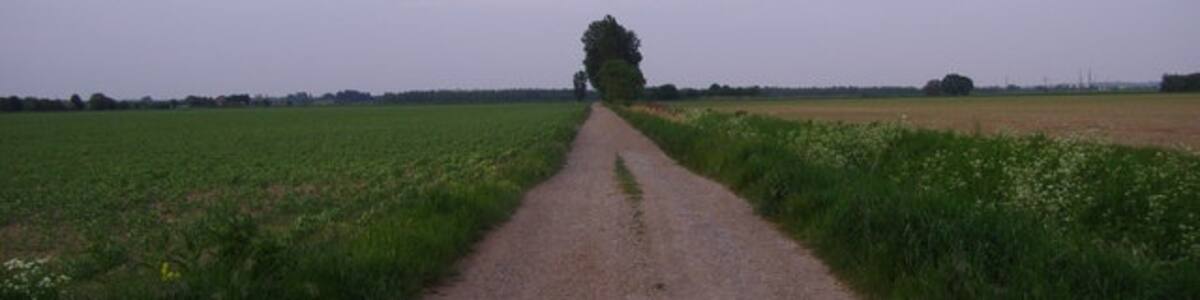 Photo "Fenland farm track Looking east towards King's Lynn" by Mark Hobbs (Creative Commons Attribution-Share Alike 2.0) / Cropped from original