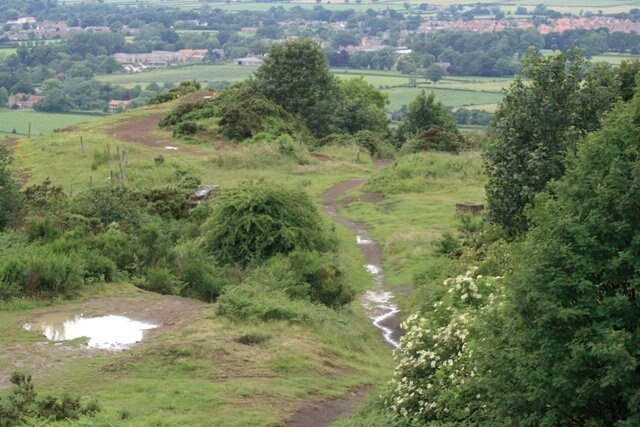Foto “Little Ayton” tomada por Mick Garratt (CC BY-SA); recorte de la original