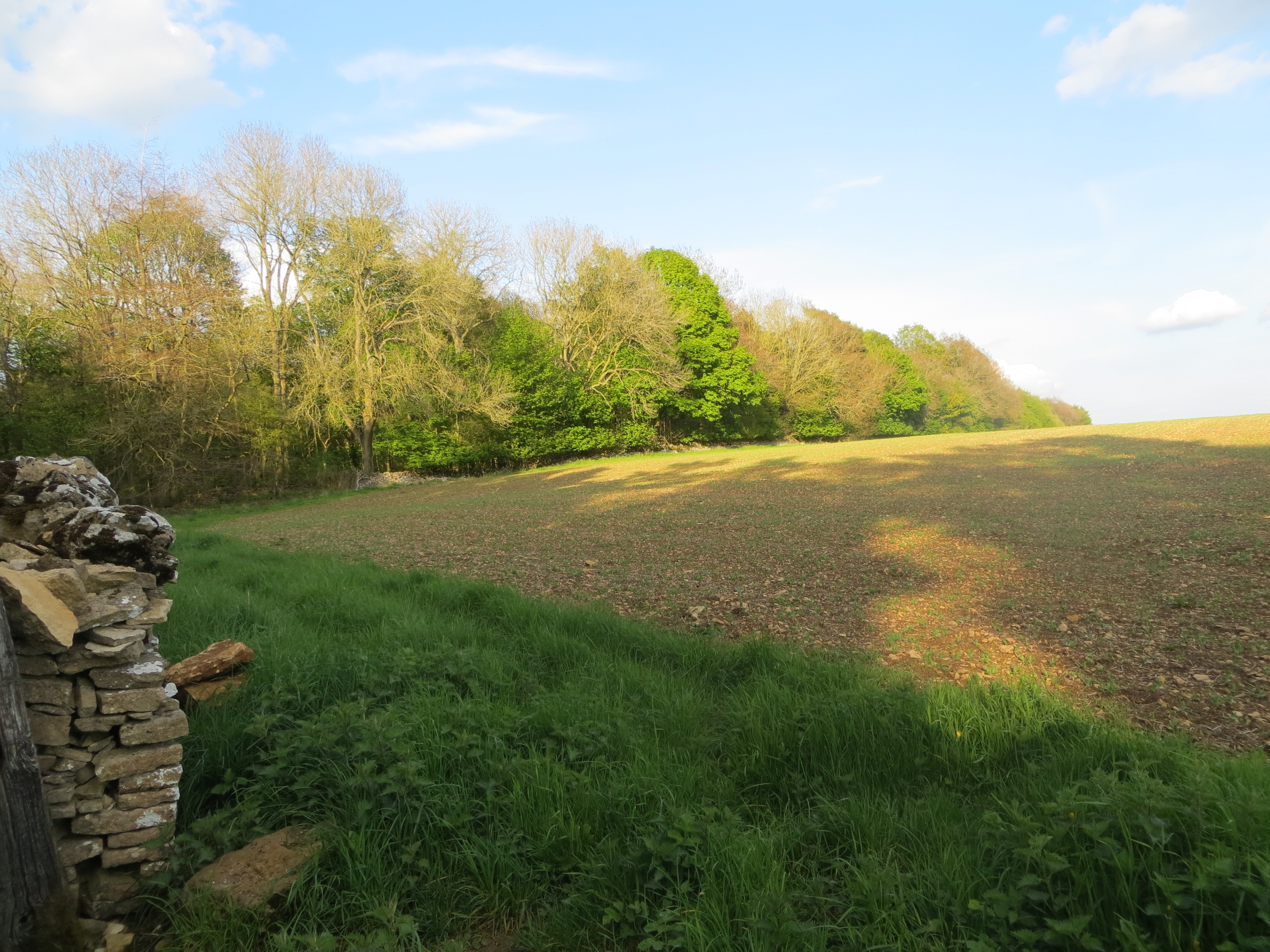 Photo "Sarsden" by Forester2009 (CC BY-SA) / Cropped from original