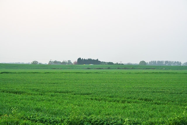 Farmland near Bingham. Taken by the level crossing and looking towards Holme Farm.