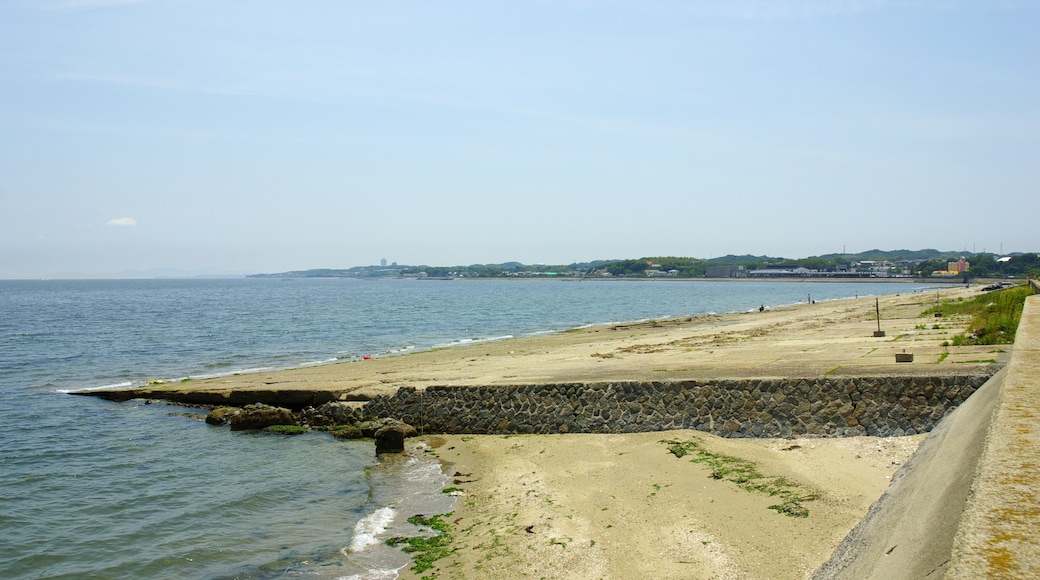 Photo "Mihama" by 名古屋太郎 (CC BY-SA) / Cropped from original