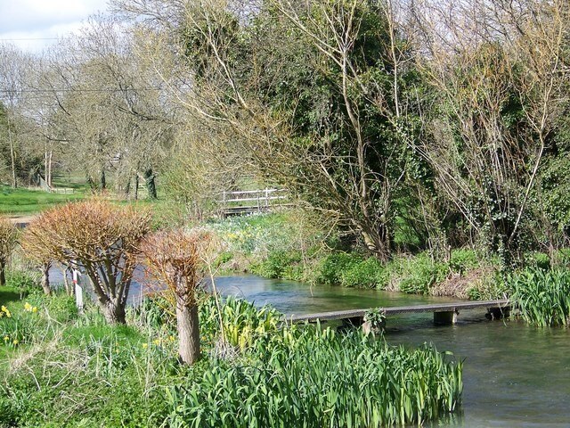 Photo "Stratford Toney" by Trish Steel (CC BY-SA) / Cropped from original