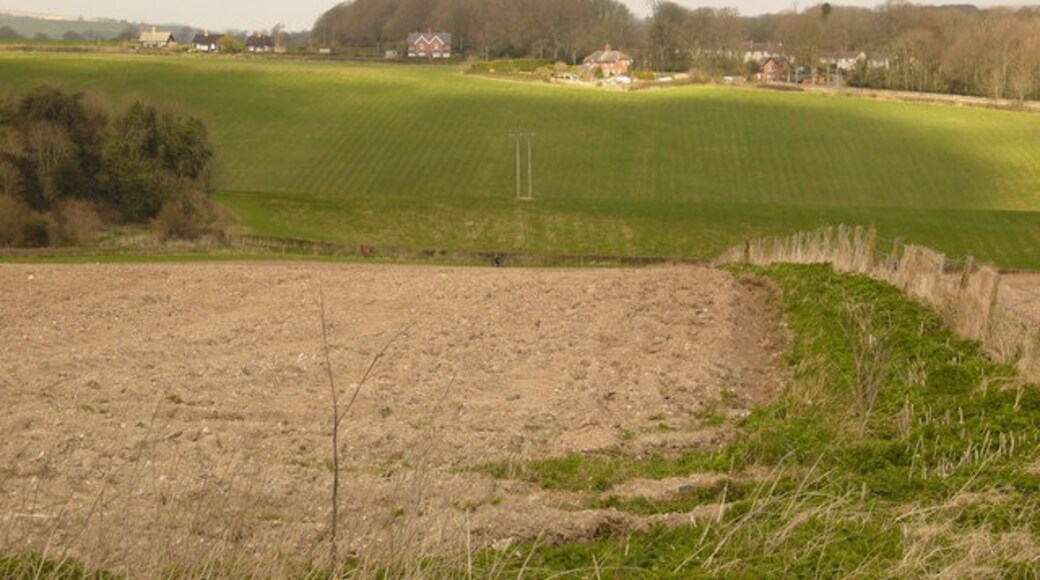 Foto "Bryanston" por Simon Scurr (CC BY-SA) / Recortada de la original