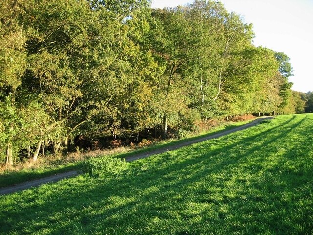 Foto “Northchurch” tomada por John Allan (CC BY-SA); recorte de la original