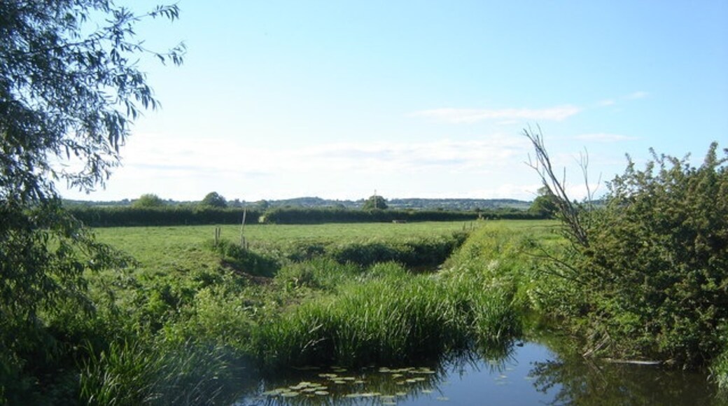 "Isle Abbotts"-foto av Ruth Sharville (CC BY-SA) / Urklipp från original