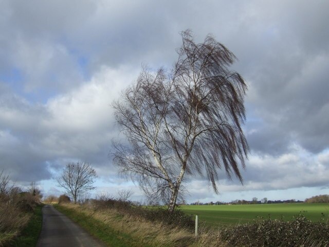 Ảnh "Hatford" của Jonathan Billinger (CC BY-SA) / Cắt từ ảnh gốc