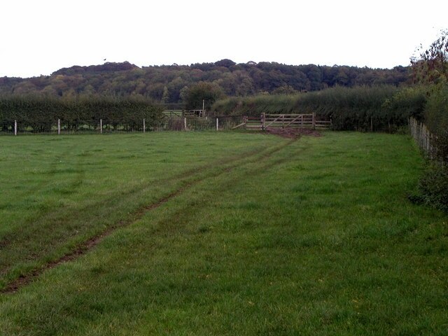 Foto “Bugthorpe” tomada por Andy Beecroft (CC BY-SA); recorte de la original