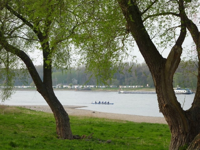 Der Rhein bei Baumberg