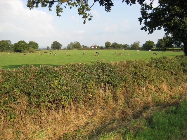 Photo "Moreton Say" by Peter Fleming (CC BY-SA) / Cropped from original