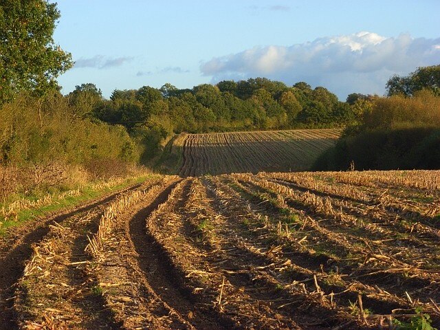 Ảnh "Ufton Nervet" của Andrew Smith (CC BY-SA) / Cắt từ ảnh gốc