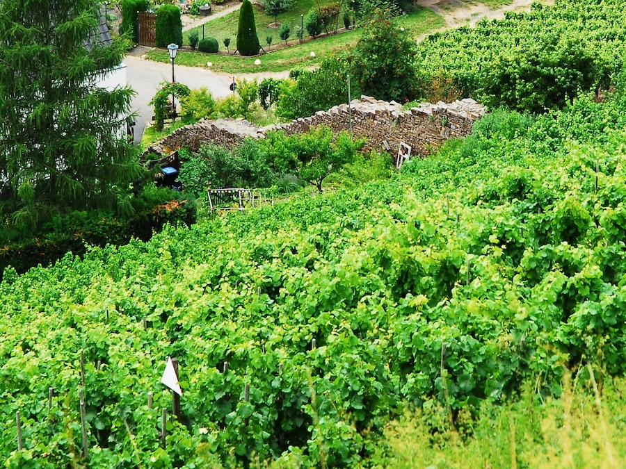 Ortsbefestigung in Alken: Reste der Stadtmauer südlich des alten Orstkerns im Übergang zu den Weinbergen. Teil der in der ersten Hälfte des 14. Jahrhunderts begonnenen Ortsbefestigung. Sie umfasste den ganzen Ort bis zum Anschluss an die Außenanlagen der Burg; von der Befestigung außerdem erhalten: sogenannte Fallerport, Torturm mit erneuertem Fachwerkeinbau (bei Oberstraße 39), der südwestliche Eckturm (bei Moselstraße 15) und ein Torbogen (bei Bachstraße 10).
