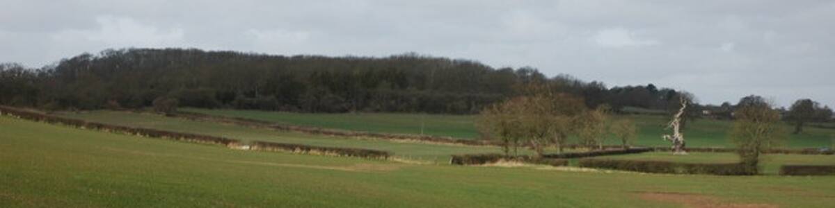 Photo "Farmland at Bushley. Farmland to the west of Bushley Park and that oak tree 616941 viewed from a different direction." by Philip Halling (Creative Commons Attribution-Share Alike 2.0) / Cropped from original