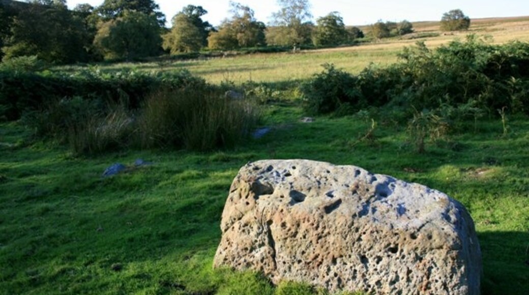 Photo "Commondale" by Mick Garratt (CC BY-SA) / Cropped from original