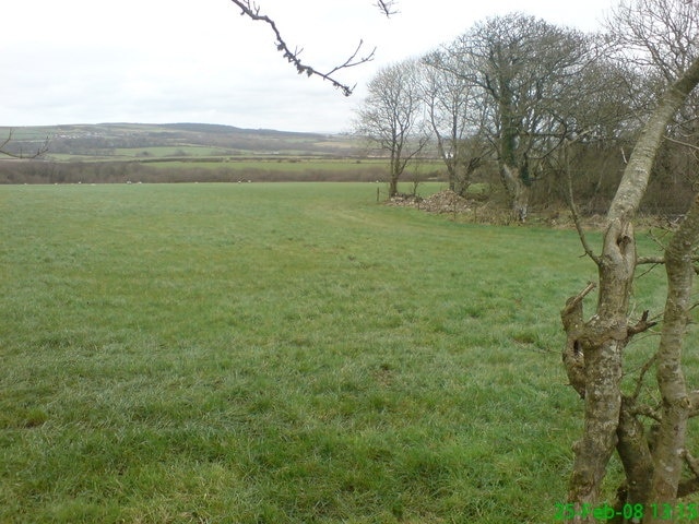 Ruined Farmstead known as Hannah in Simpson Cross In the copse to the right lies piles of stones - all that remains of 'Hannah' a farmstead occupied for decades in the 19th century by the Meyler family. Hannah is mentioned in works kept in the National Library of Wales and was first made mention of in the 14th century when it was known as Haen Hoc (meaning High Hook) It eventually changed into Hannah over the centuries but disappeared by about 1900.In the distance lies Plumstone Mountain.