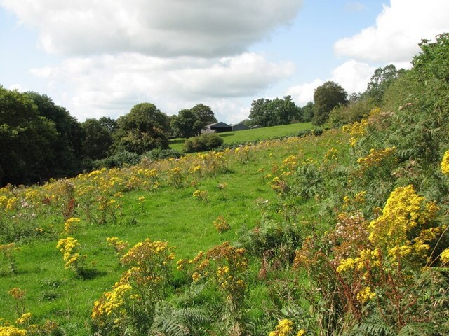 Looking towards Barn Farm