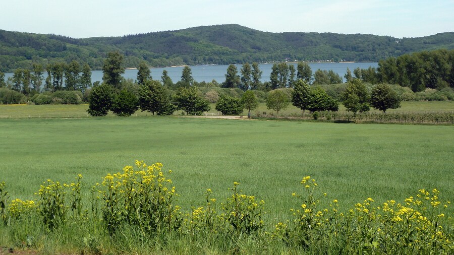 Photo "Laacher See" by giggel (Creative Commons Attribution 3.0) / Cropped from original
