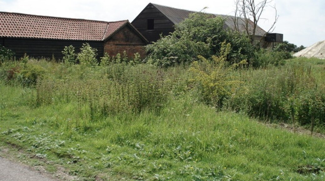 Foto “Kings Ripton” tomada por Simon Mortimer (CC BY-SA); recorte de la original