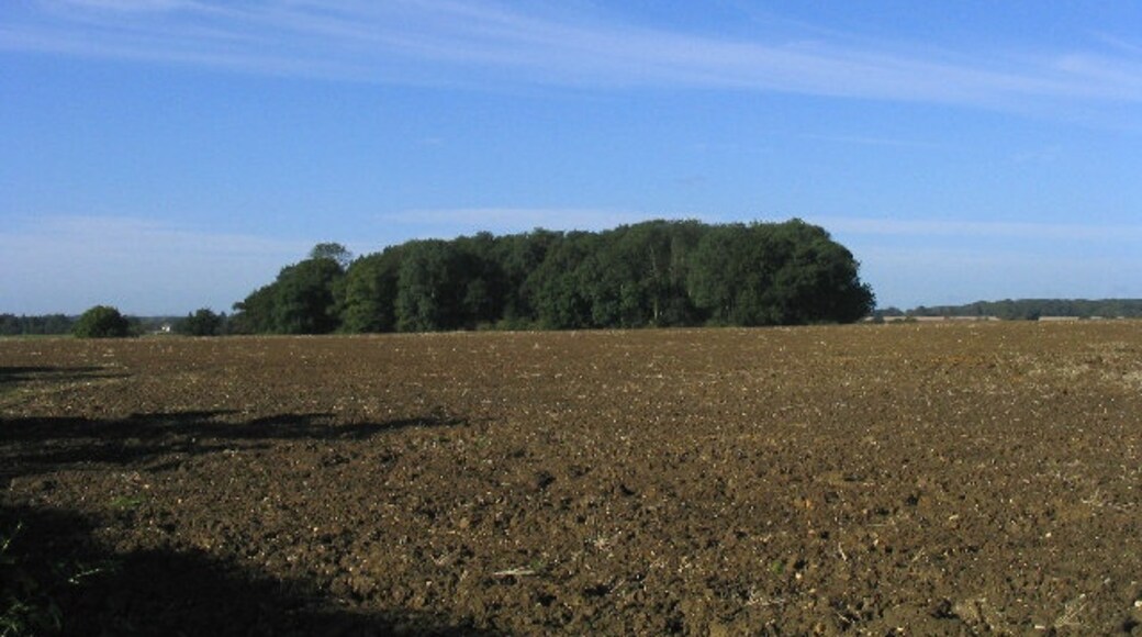 Kuva ”Mountnessing” käyttäjältä John Winfield (CC BY-SA) / rajattu alkuperäisestä kuvasta