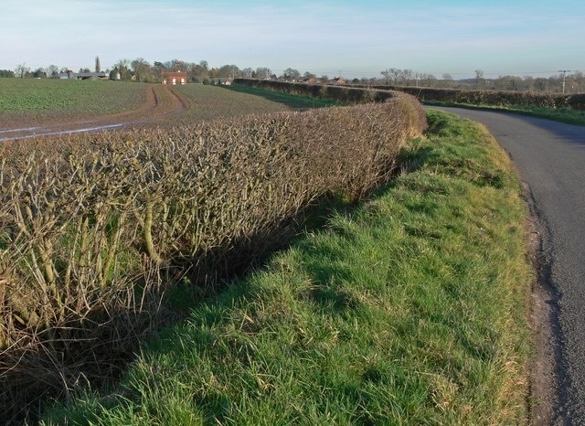 Sheepy Road near Sibson, Leicestershire