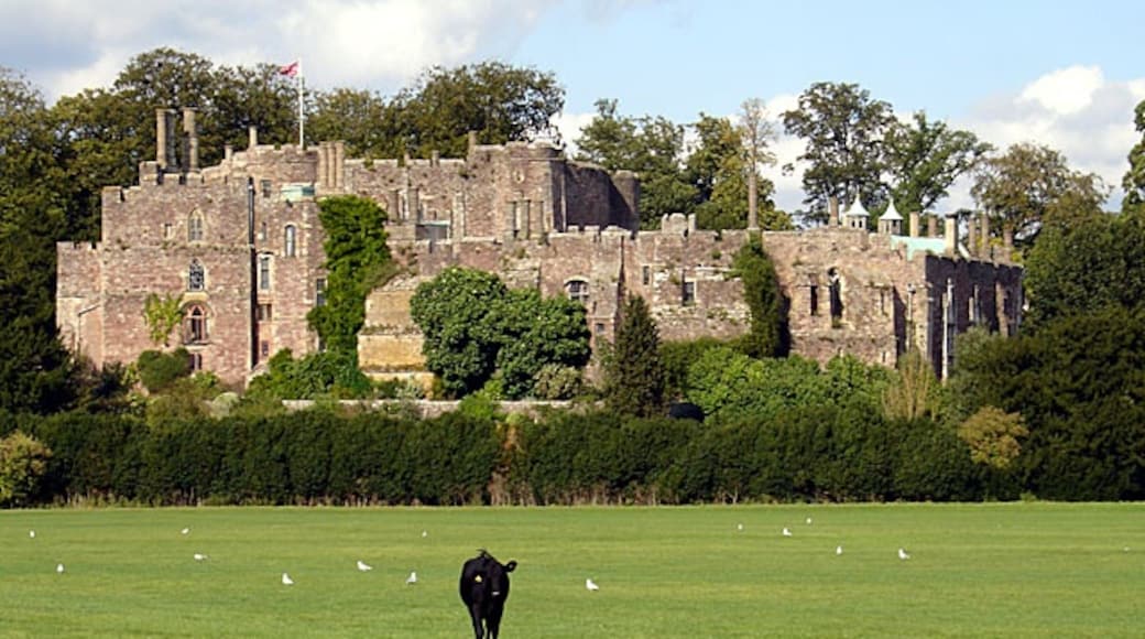 Photo "Berkeley Castle" by Linda Bailey (CC BY-SA) / Cropped from original