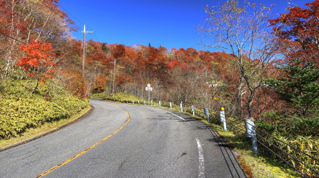 Billede "Kirifuri Højland" af くろふね (CC BY) / beskåret fra det originale billede