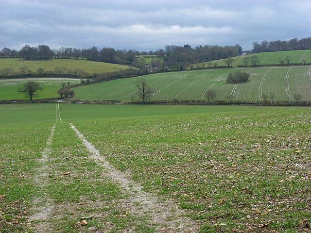 Billede "Great and Little Hampden" af Andrew Smith (CC BY-SA) / beskåret fra det originale billede