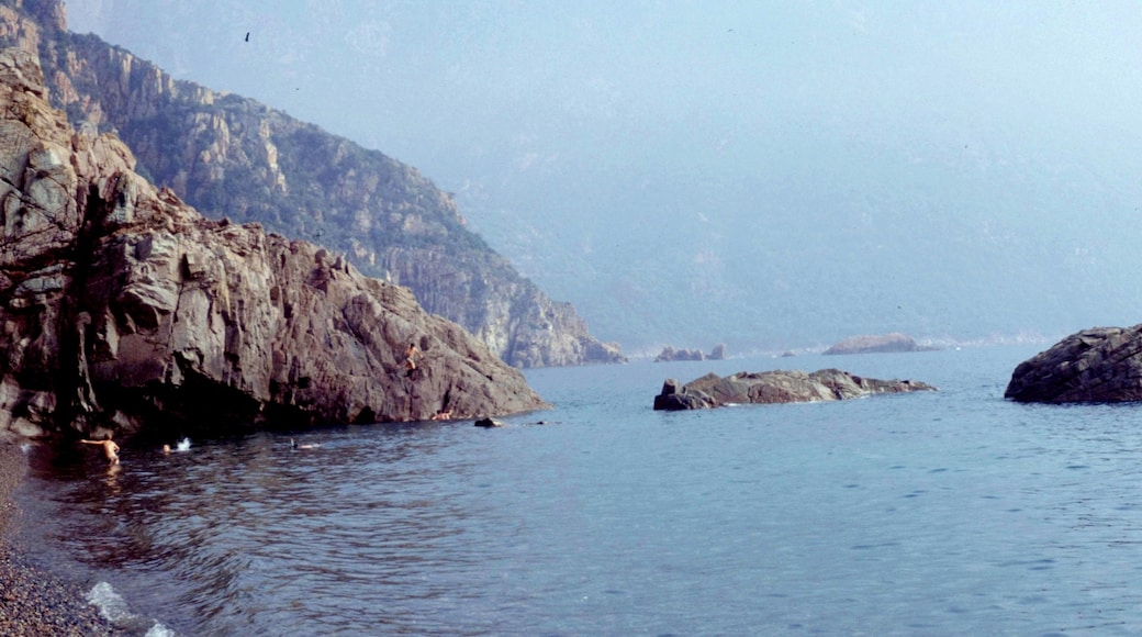 Photo "Gulf of Porto" by rene boulay (CC BY-SA) / Cropped from original