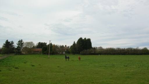 "Crambe"-foto av DS Pugh (CC BY-SA) / Urklipp från original