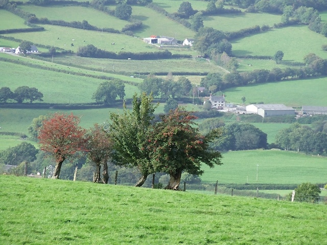 Teifi Valley east of Lampeter, Carmarthenshire In fact, the whole of this image is just in Ceredigion!