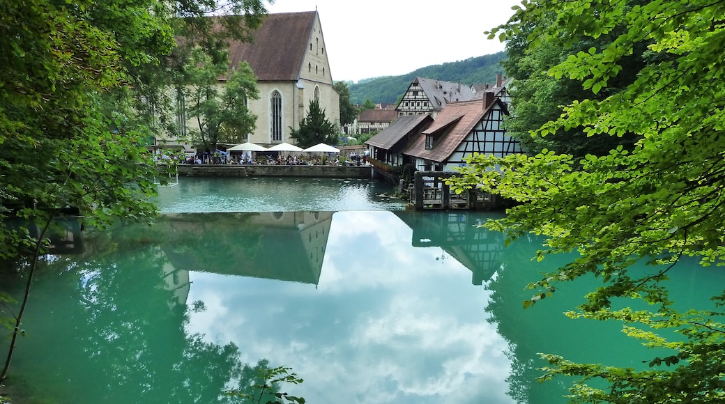 Photo "Blaubeuren" by Schilling Thomas (CC BY-SA) / Cropped from original