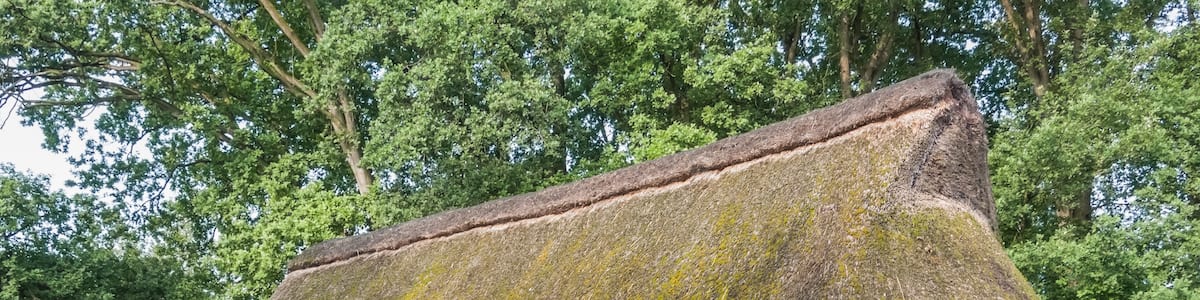 Photo "Barn in the grounds of Ammerländer open-air museum in Bad Zwischenahn" by Ermell (Creative Commons Attribution-Share Alike 4.0) / Cropped from original
