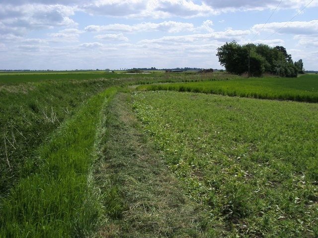 Foto “Benwick” tomada por Shaun Ferguson (CC BY-SA); recorte de la original