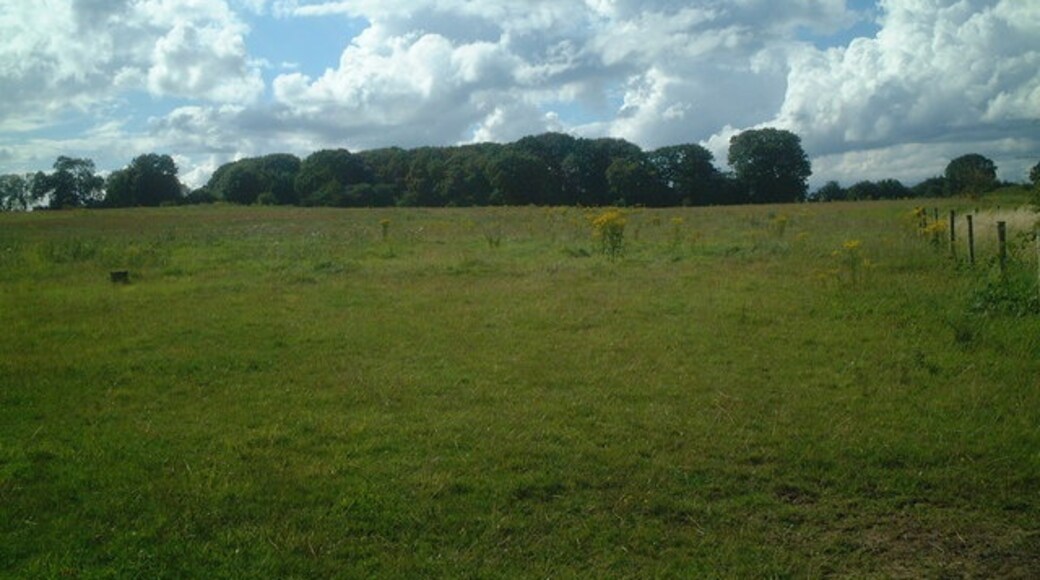 "Wythall"-foto av planetearthisblue (CC BY-SA) / Urklipp från original