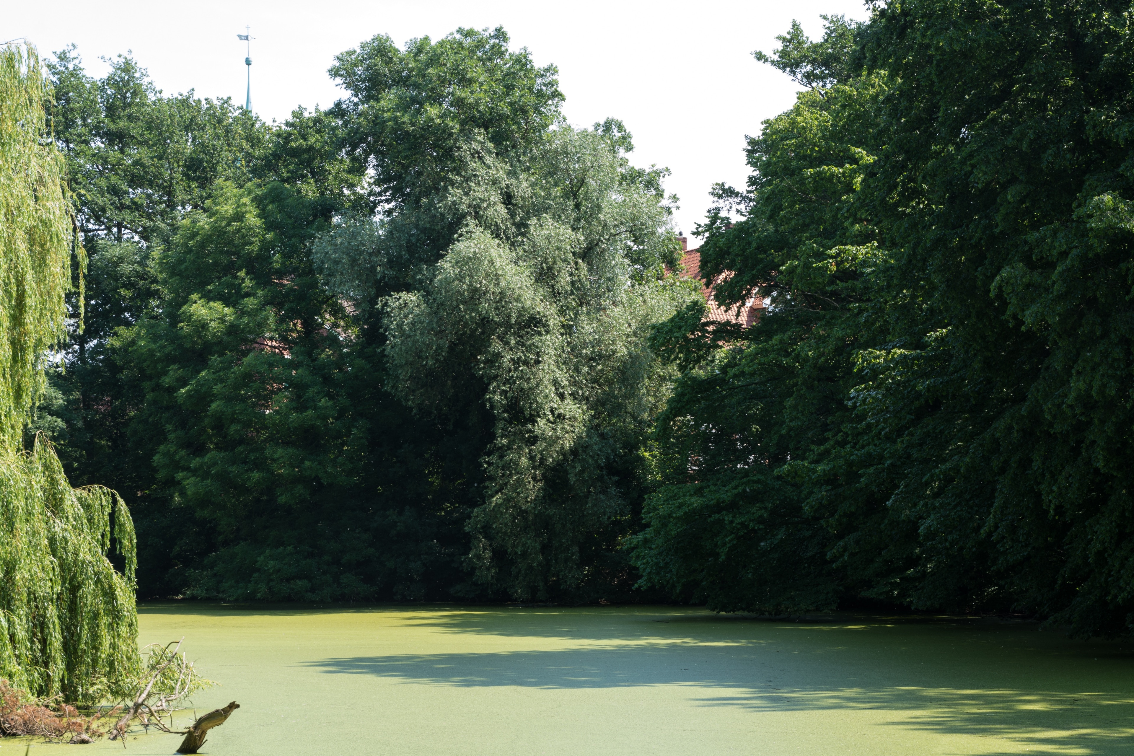 Photo "Ochsenwerder" by Ajepbah (CC BY-SA) / Cropped from original