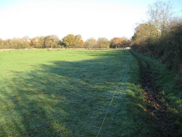 Malden Rushett: Bridleway to Rushett Lane Here the bridleway is only separated from the field by a temporary electric fence. Rushett Lane is in the trees in the distance.