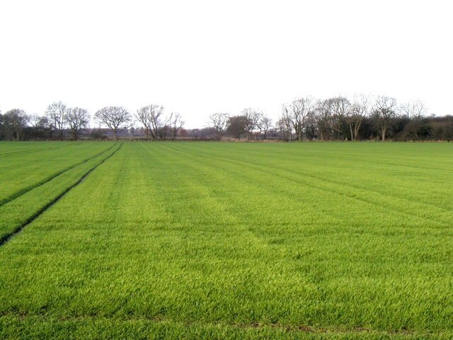 Photo "Ellerton" by Andy Beecroft (CC BY-SA) / Cropped from original